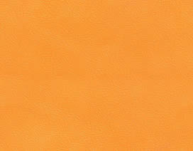 愛馬仕橙飾面板